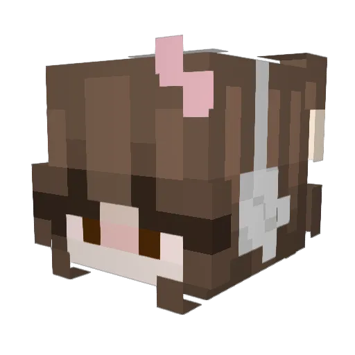 shaizai Minecraft avatar head, 3D render