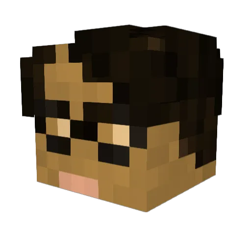 shakey_1 Minecraft avatar head, 3D render