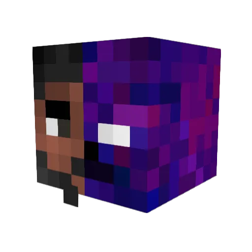 shakol Minecraft avatar head, 3D render