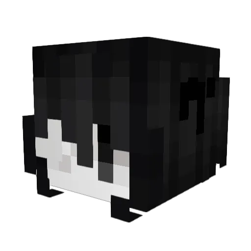 shalove Minecraft avatar head, 3D render
