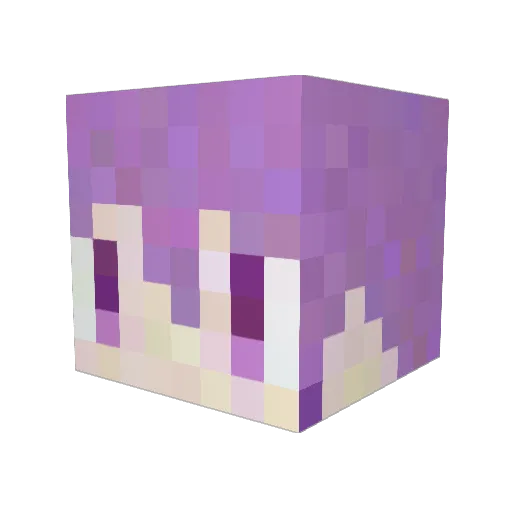 sham47 Minecraft avatar head, 3D render