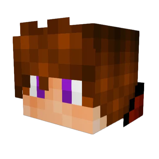 shambala12 Minecraft avatar head, 3D render