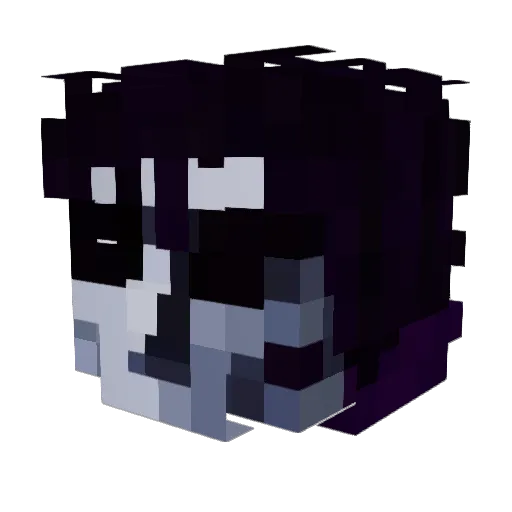 shamjooly Minecraft avatar head, 3D render