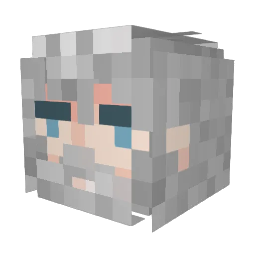 shamon78 Minecraft avatar head, 3D render