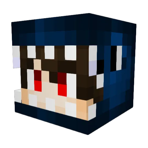 shampeig Minecraft avatar head, 3D render