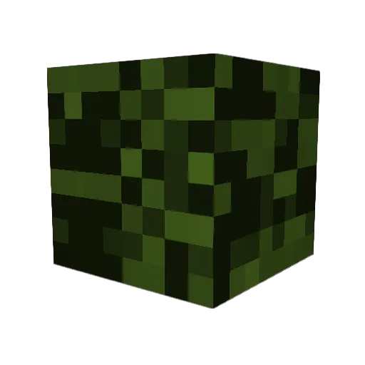 shamu0115 Minecraft avatar head, 3D render