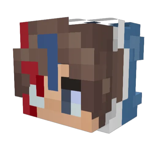 shamwam_ Minecraft avatar head, 3D render