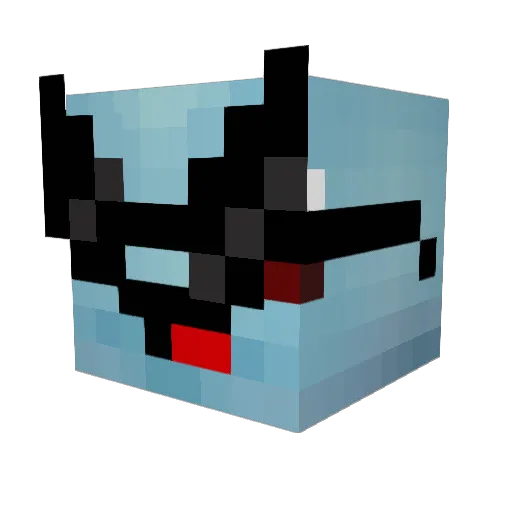 shamwow1 Minecraft avatar head, 3D render