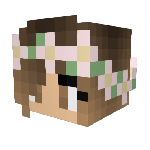 shanabarger Minecraft avatar head, 3D render