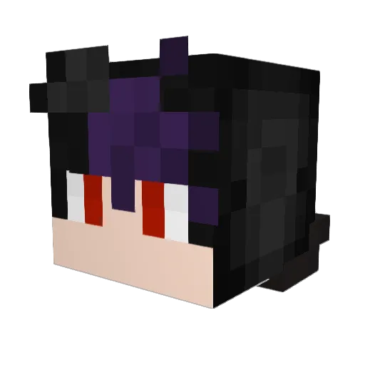 shanananu Minecraft avatar head, 3D render