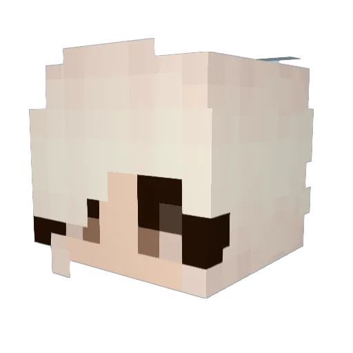 shanayah Minecraft avatar head, 3D render