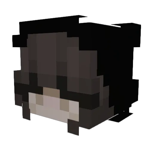 shandian666 Minecraft avatar head, 3D render