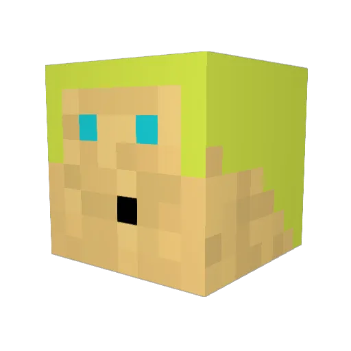 shane608 Minecraft avatar head, 3D render