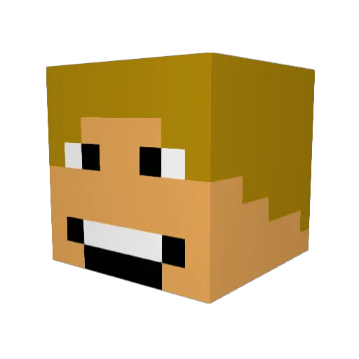 shane_goodall Minecraft avatar head, 3D render
