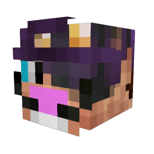 shanegadingal Minecraft avatar head, 3D render