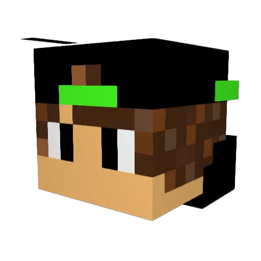 shanejohnrawson Minecraft avatar head, 3D render