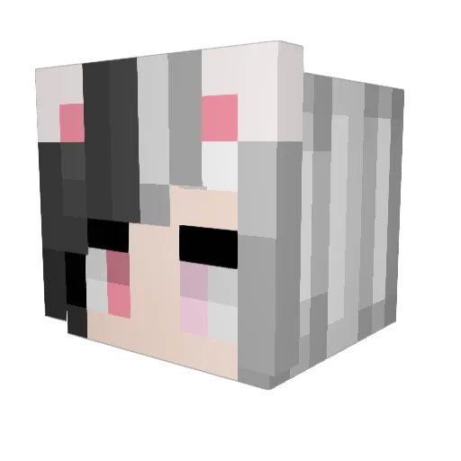 shanekeen Minecraft avatar head, 3D render