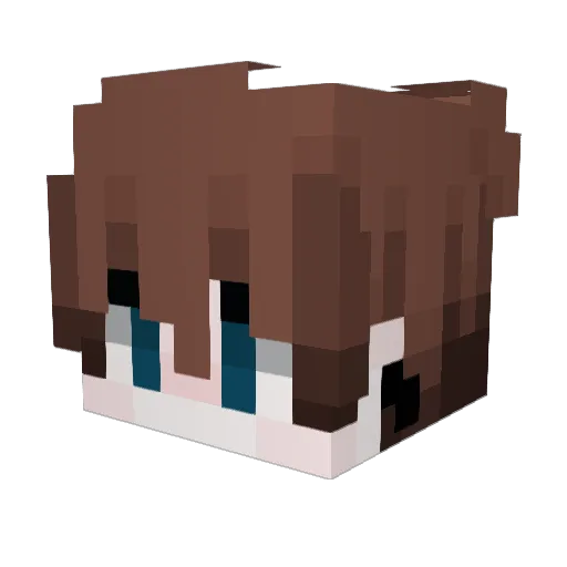 shanipop Minecraft avatar head, 3D render