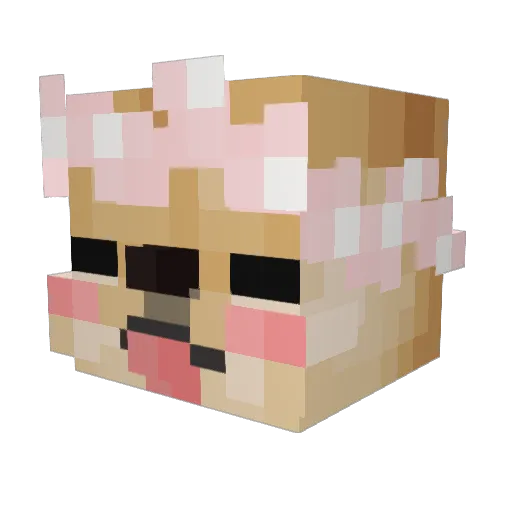shankrxn8111 Minecraft avatar head, 3D render