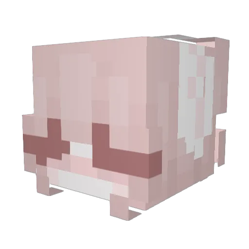 shannadse Minecraft avatar head, 3D render