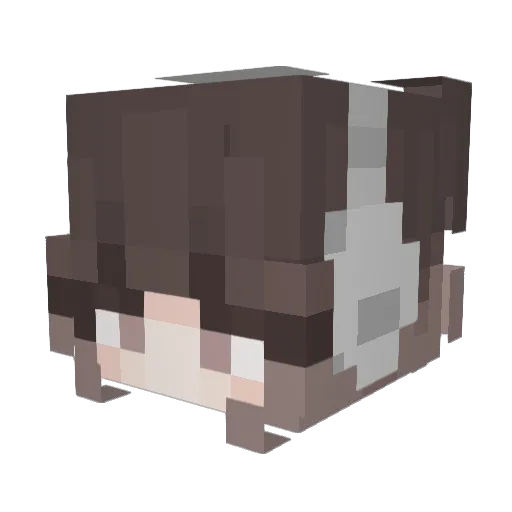 shannah9720 Minecraft avatar head, 3D render