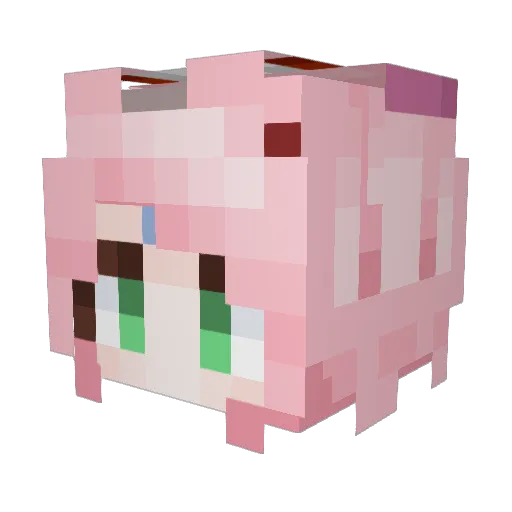 shannaro_ Minecraft avatar head, 3D render