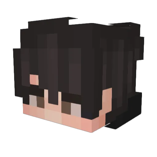 shanneli Minecraft avatar head, 3D render