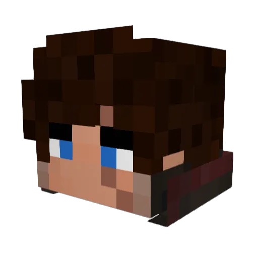 shannon97 Minecraft avatar head, 3D render