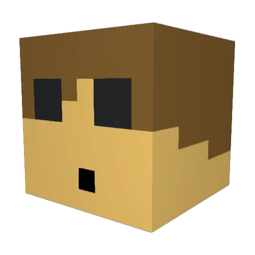 shannonHabernik Minecraft avatar head, 3D render