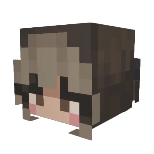 shannonwrighty Minecraft avatar head, 3D render