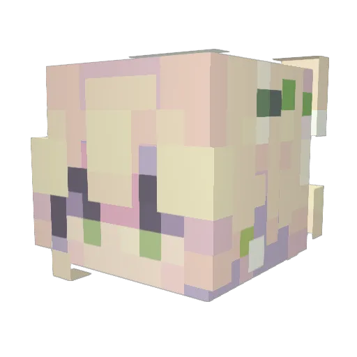 shanow Minecraft avatar head, 3D render