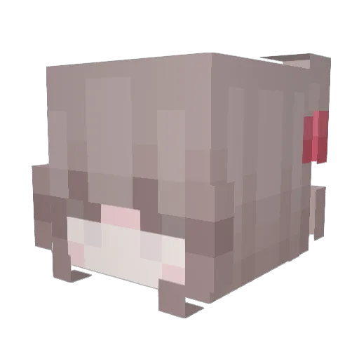 shantantu Minecraft avatar head, 3D render