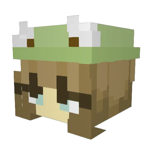 shantialouise Minecraft avatar head, 3D render