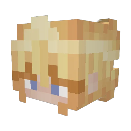 shany1205 Minecraft avatar head, 3D render