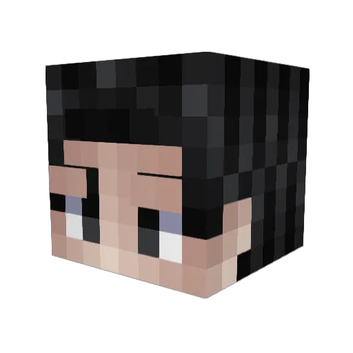 shao64 Minecraft avatar head, 3D render