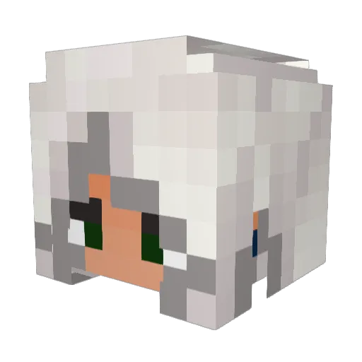 shapelesssensat Minecraft avatar head, 3D render