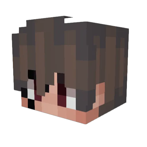 shapidax Minecraft avatar head, 3D render