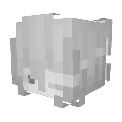 shapnap Minecraft avatar head, 3D render