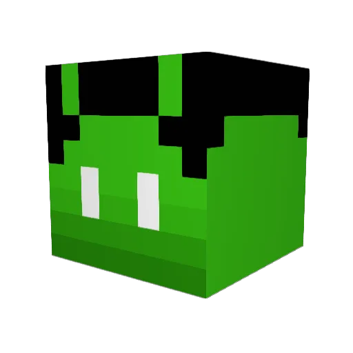 shapoli Minecraft avatar head, 3D render