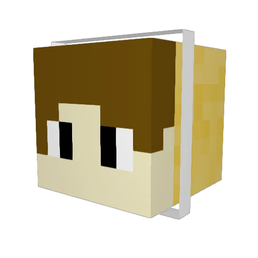 shappadappa Minecraft avatar head, 3D render