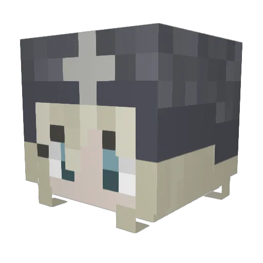 shardedfartded Minecraft avatar head, 3D render