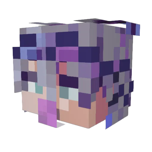 shardov Minecraft avatar head, 3D render