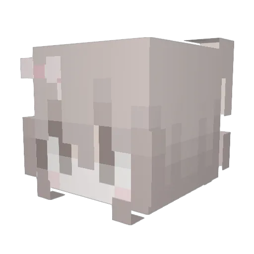 sharempty Minecraft avatar head, 3D render