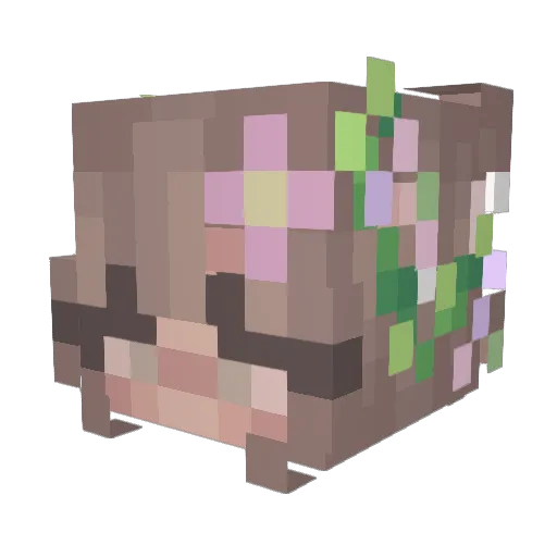 sharielea Minecraft avatar head, 3D render