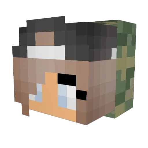 shark1009 Minecraft avatar head, 3D render