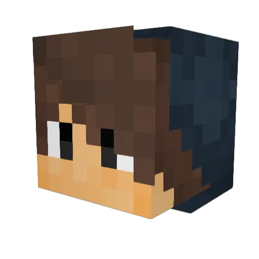 shark__chili Minecraft avatar head, 3D render