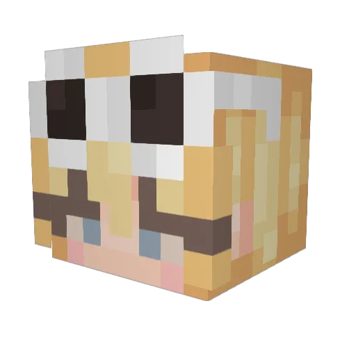 sharkabuddy Minecraft avatar head, 3D render