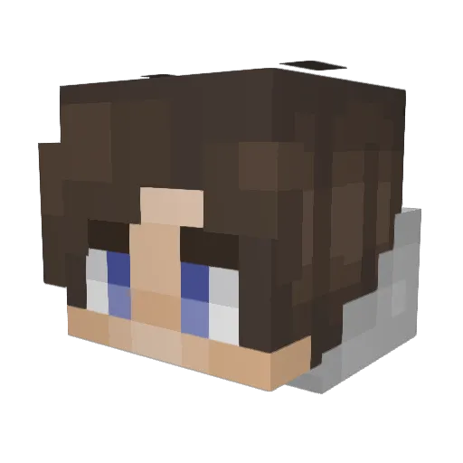 sharkaids Minecraft avatar head, 3D render