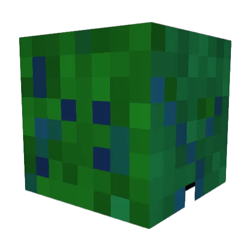 sharkblood09 Minecraft avatar head, 3D render