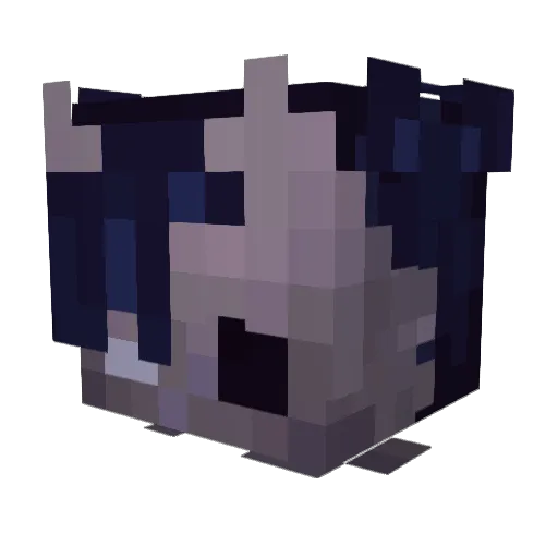 sharkfuy Minecraft avatar head, 3D render